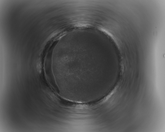 X0000089661306200707051522