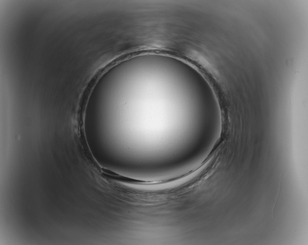 X0000089661308200707051522