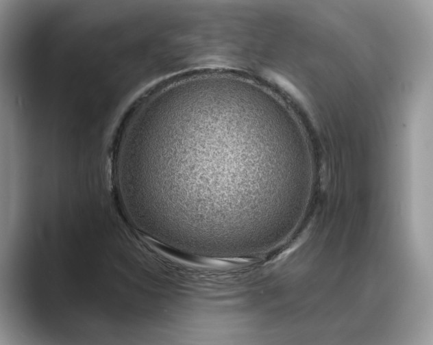 X0000089661310200707051522