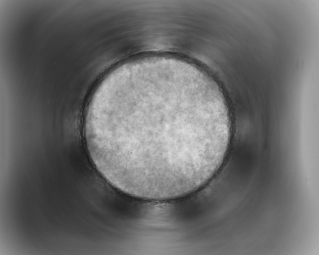 X0000089661314200707051522