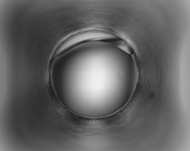 X0000089661316200707051522