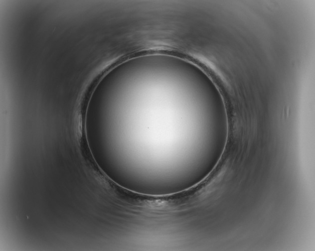 X0000089661317200707051522