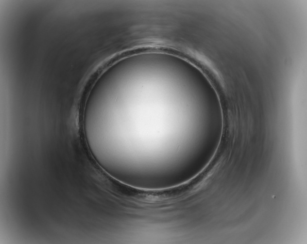 X0000089661318200707051522