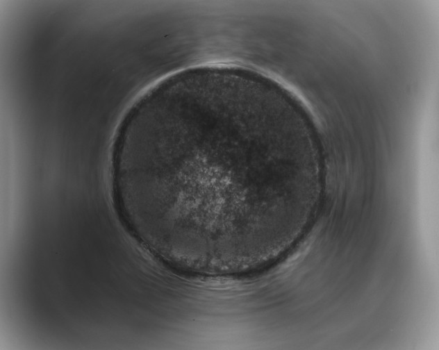 X0000089661319200707051522