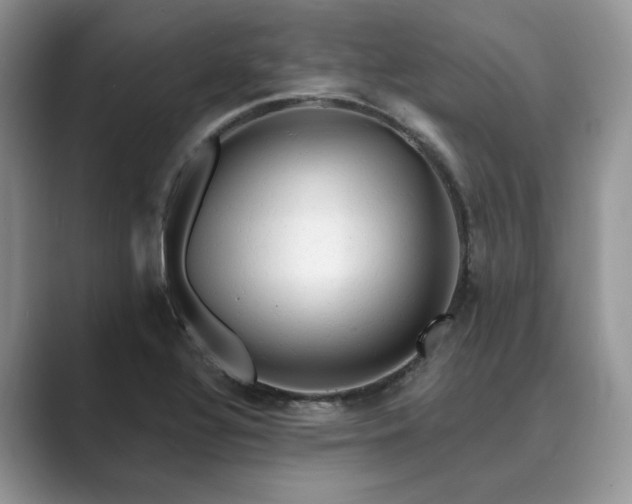 X0000089661320200707051522