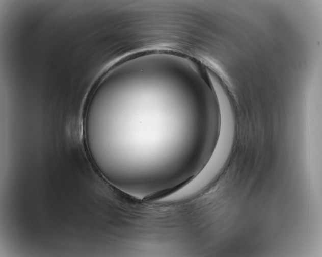 X0000089661324200707051522