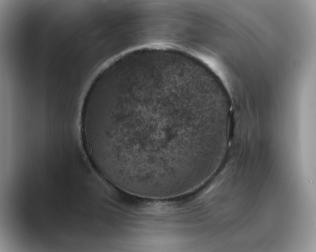 X0000089661327200707051522