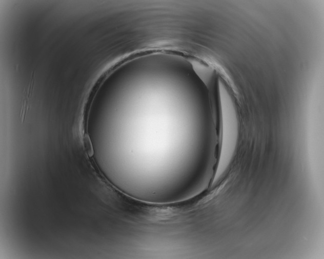 X0000089661328200707051522