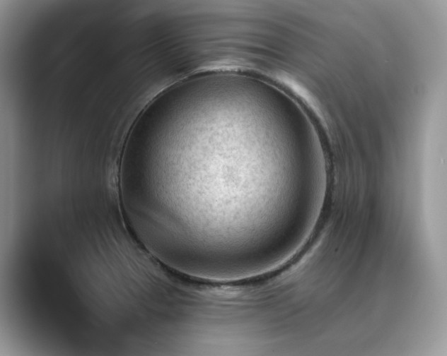 X0000089661329200707051522