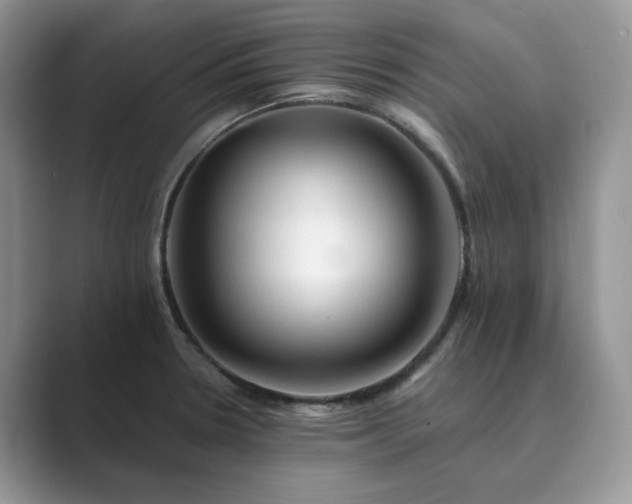 X0000089661330200707051522