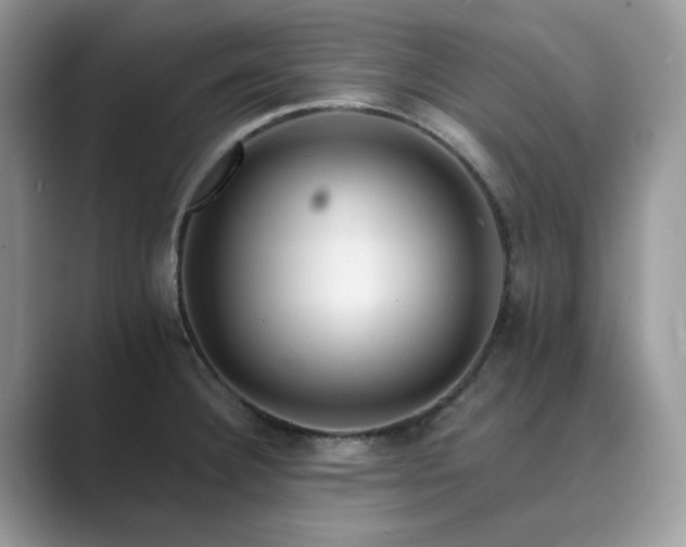 X0000089661332200707051522