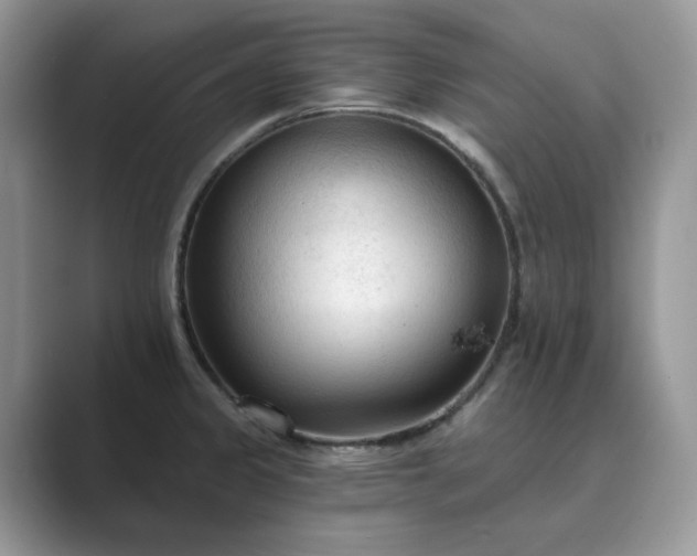 X0000089661333200707051523