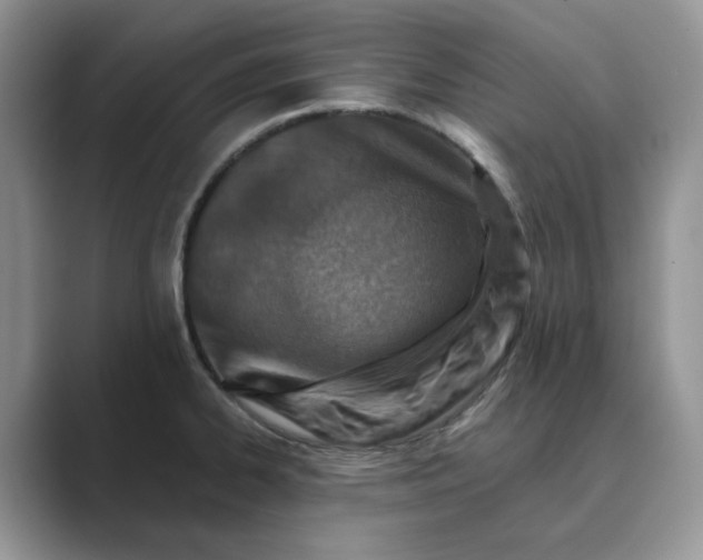 X0000089661334200707051523