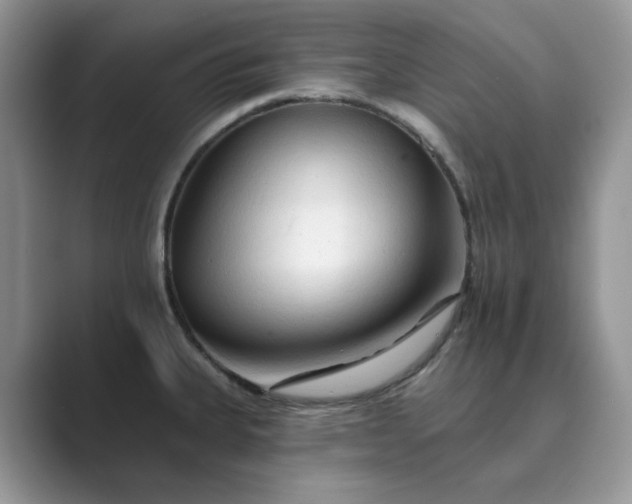 X0000089661335200707051523