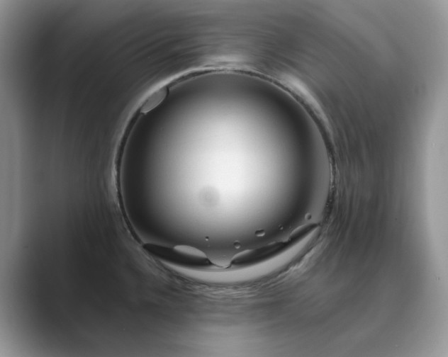 X0000089661336200707051523