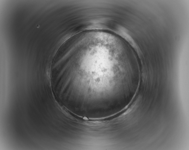 X0000089661337200707051523