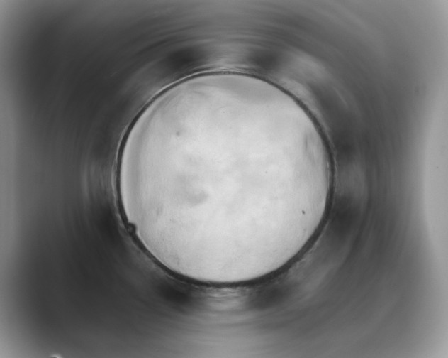 X0000089661338200707051523