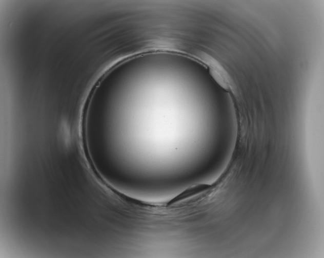 X0000089661339200707051523