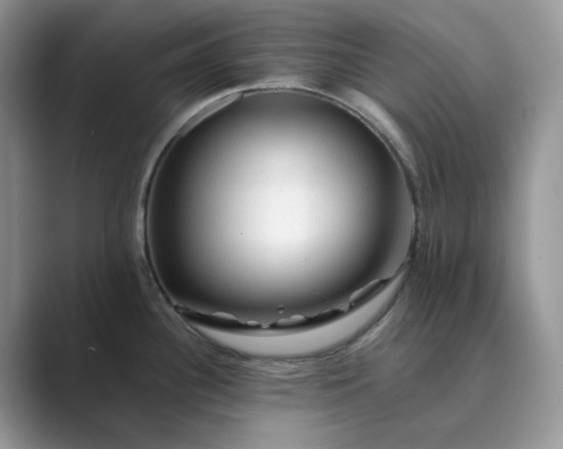 X0000089661340200707051523