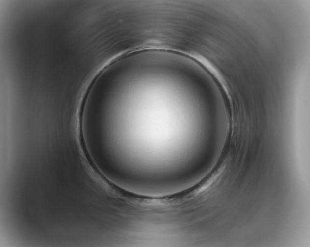 X0000089661341200707051523