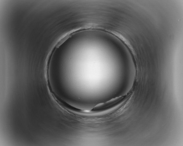 X0000089661342200707051523