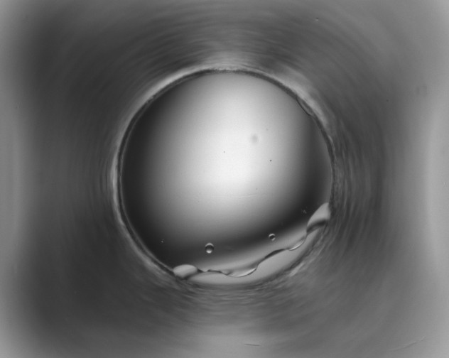 X0000089661343200707051523