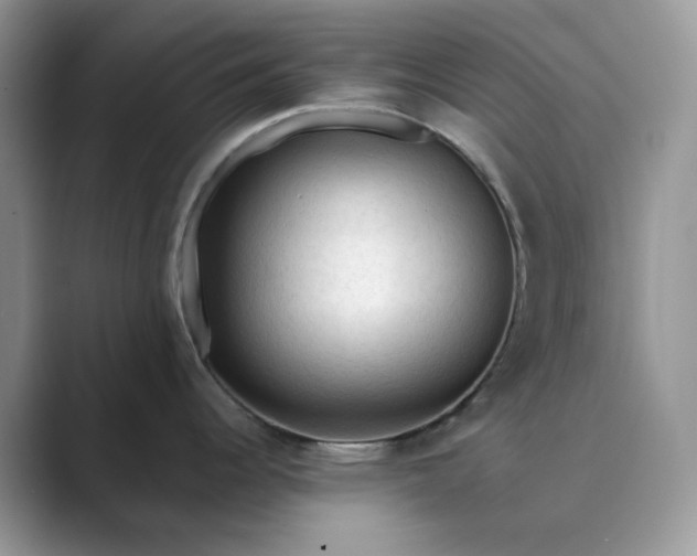 X0000089661344200707051523