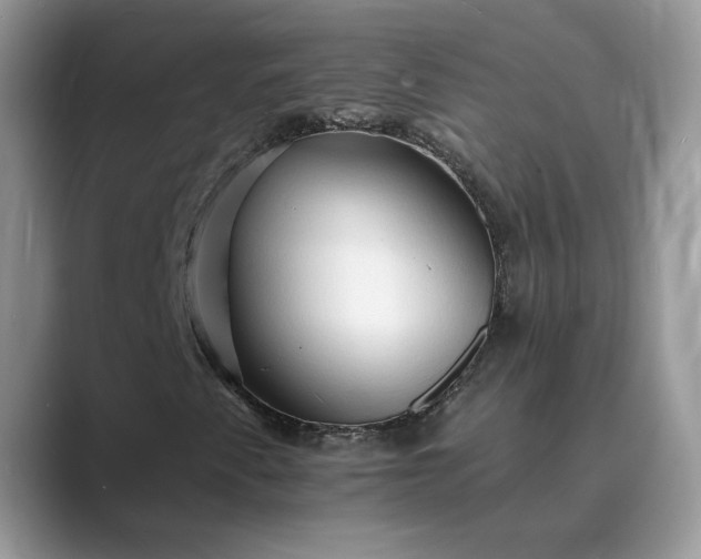 X0000089661345200707051522