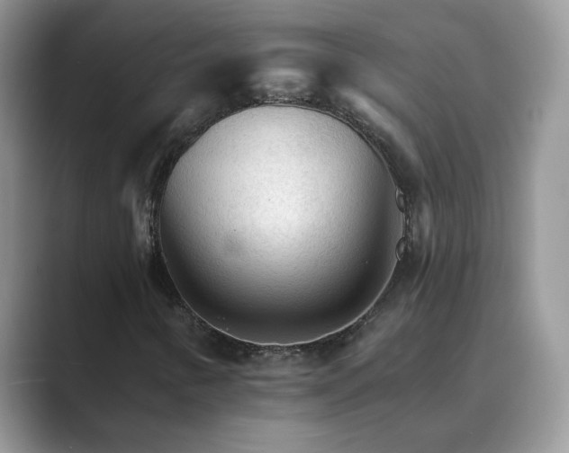 X0000089661346200707051522