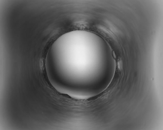 X0000089661347200707051522