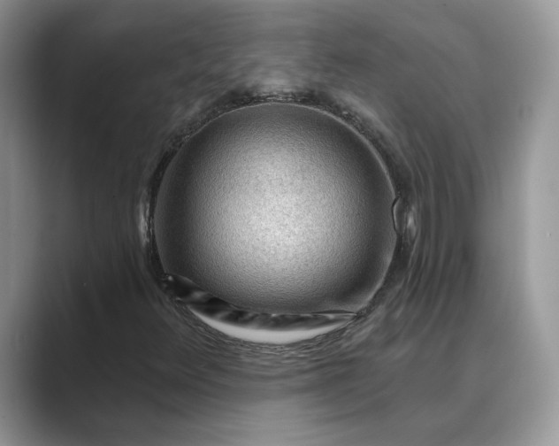 X0000089661348200707051522