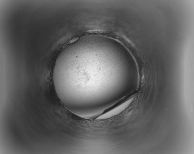 X0000089661351200707051522