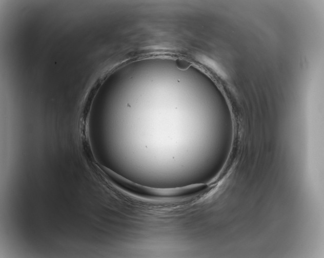 X0000089661357200707051522