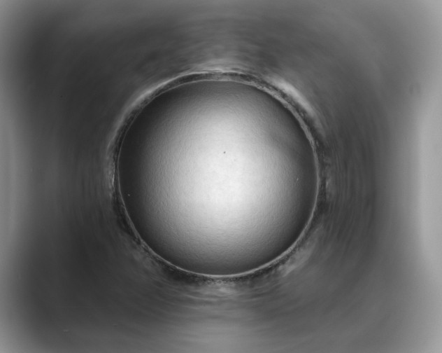 X0000089661358200707051522