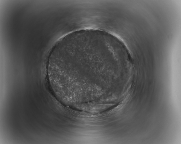 X0000089661359200707051522