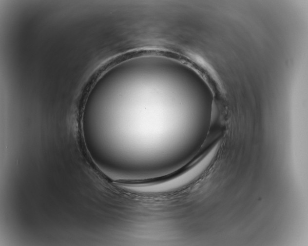 X0000089661360200707051522