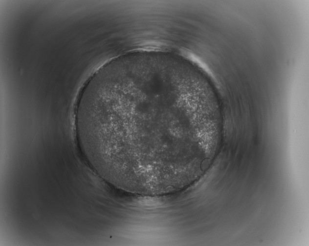 X0000089661362200707051522