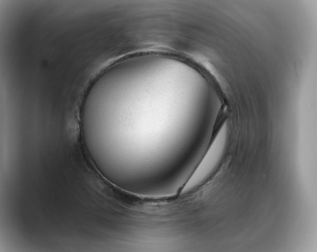 X0000089661363200707051522