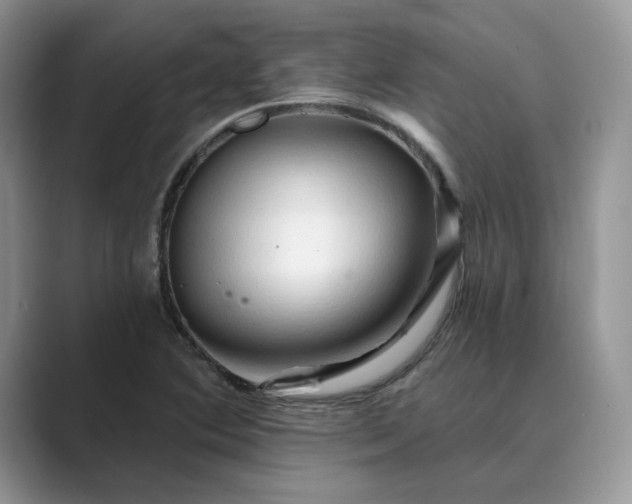 X0000089661364200707051522