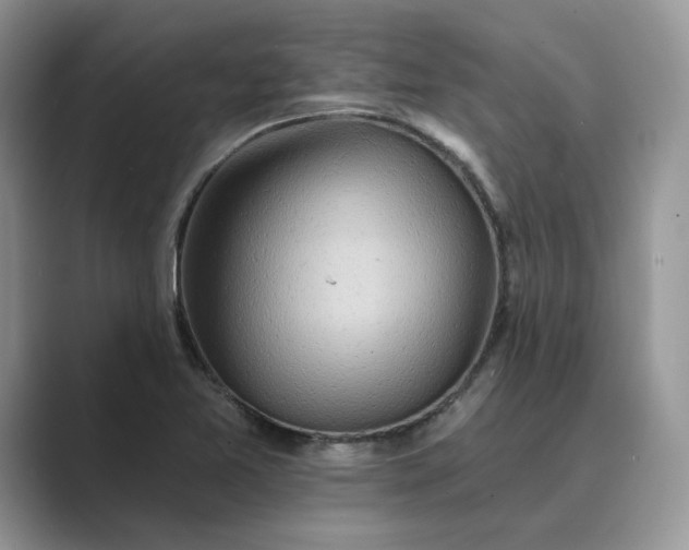 X0000089661365200707051522