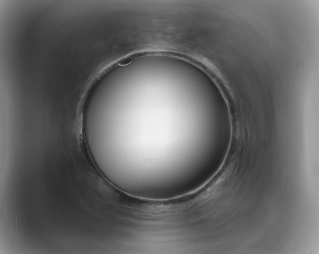 X0000089661366200707051522
