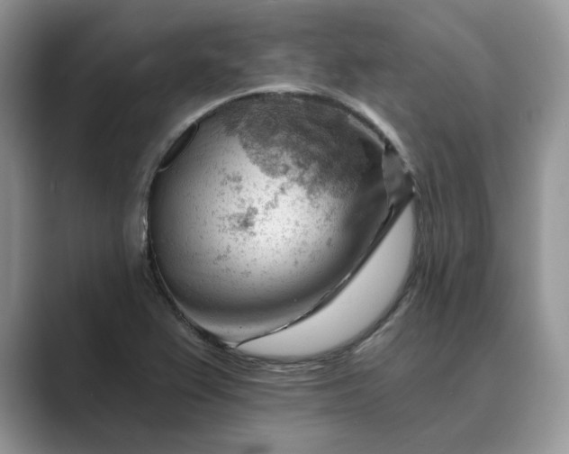 X0000089661367200707051522