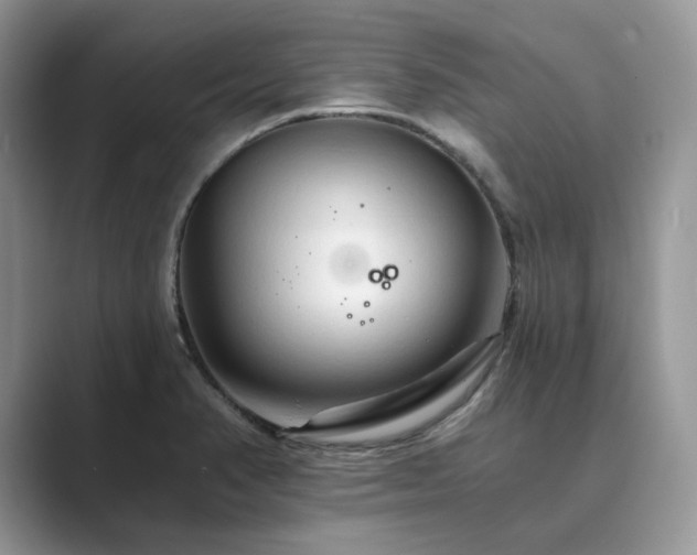 X0000089661374200707051522