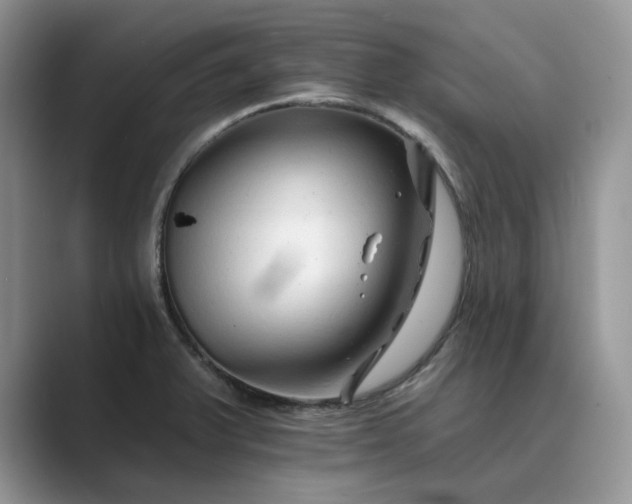 X0000089661375200707051522