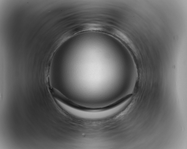 X0000089661377200707051522