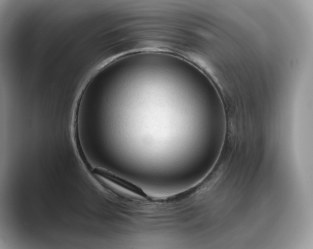 X0000089661379200707051522