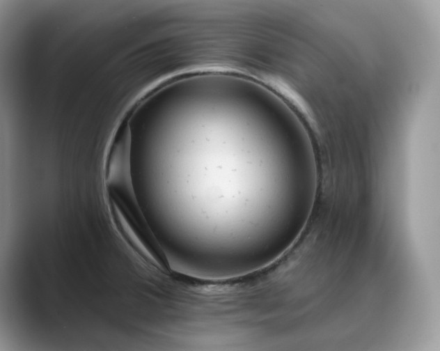 X0000089661380200707051522