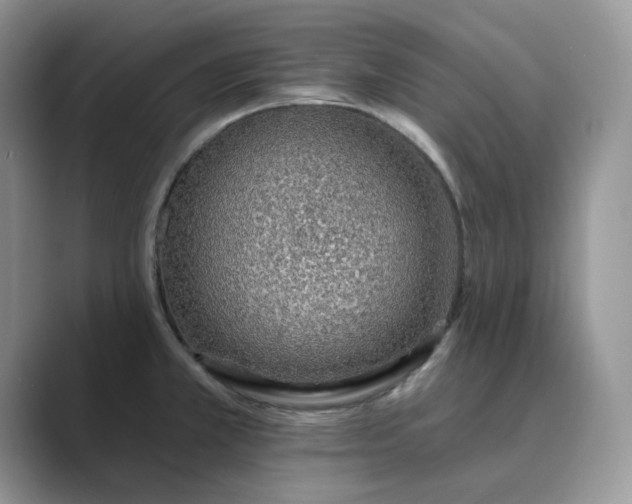 X0000089661381200707051522