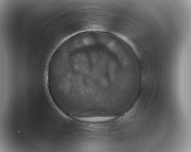 X0000089661383200707051522