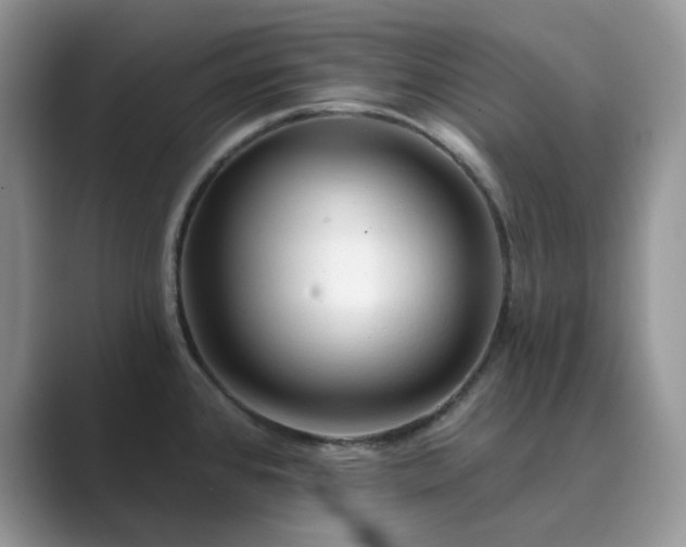X0000089661384200707051522